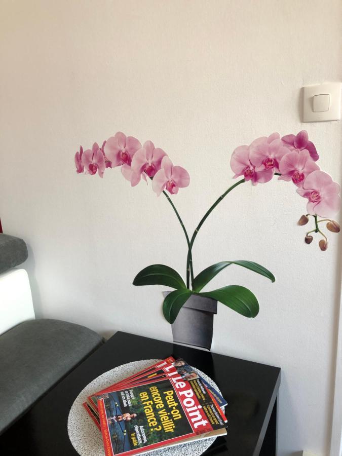 Appartement Bedinreims Burgundy Bottle Free Parking&wifi Free Ideal 4 à 8 Adultes