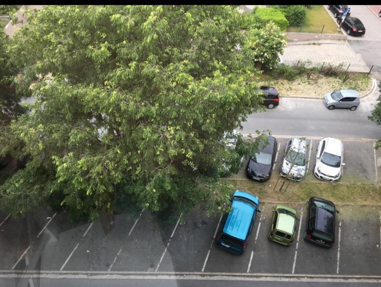 Bedinreims Burgundy Bottle Free Parking&wifi Free Ideal 4 à 8 Adultes Appartement Reims