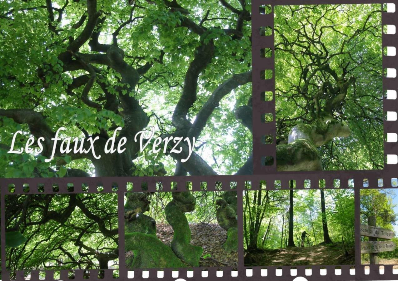 Bedinreims Burgundy Bottle Free Parking&wifi Free Ideal 4 à 8 Adultes